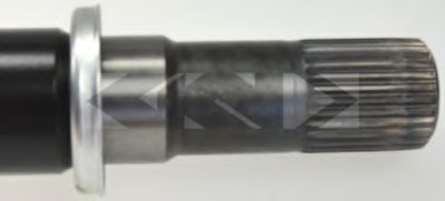 24907 SPIDAN