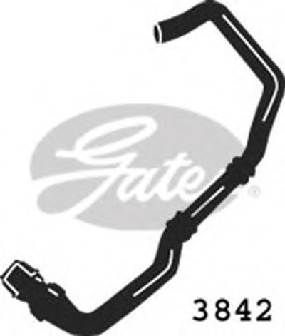 3842 GATES