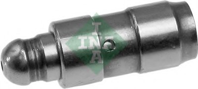 420009010 INA