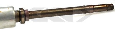 21637 SPIDAN