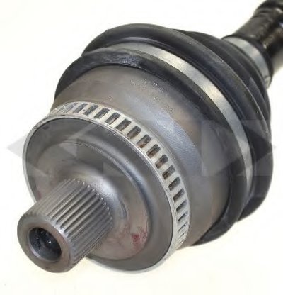 23631 SPIDAN