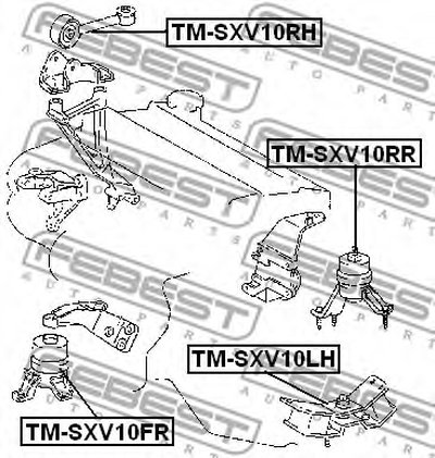 TMSXV10RR FEBEST