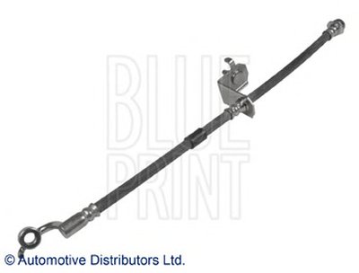 ADZ95343 BLUE PRINT