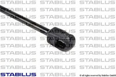018756 STABILUS
