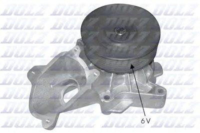 B224 DOLZ