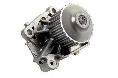 P7735 HEPU