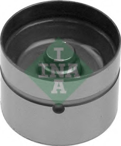 420009310 INA