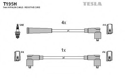 T195H TESLA