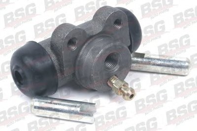 BSG60220001 BSG