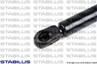 018756 STABILUS