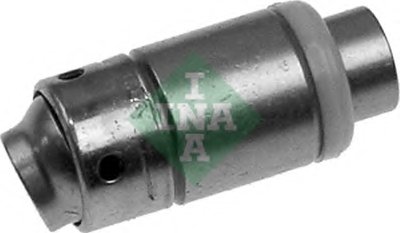 420009410 INA
