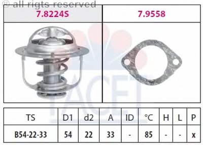 78224 FACET
