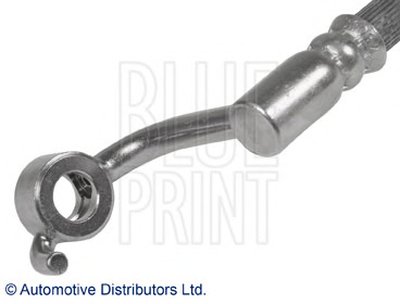 ADZ95343 BLUE PRINT