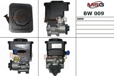 BW009 MSG