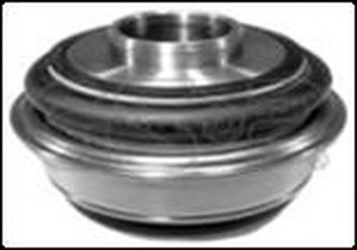 510602 GSP