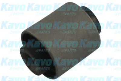 SCR5549 KAVO PARTS