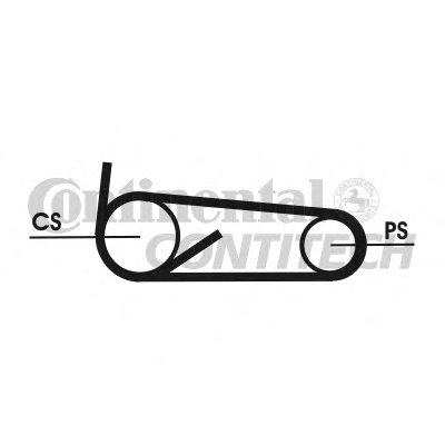 4PK922ELASTT1 CONTITECH
