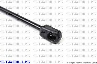 014169 STABILUS