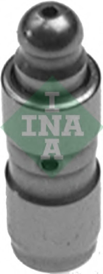 420009910 INA