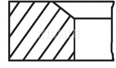 00219N0 MAHLE