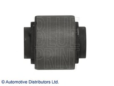 ADH28063 BLUE PRINT