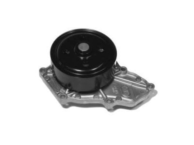 WPH053 AISIN