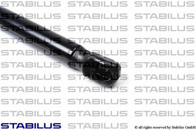 014169 STABILUS