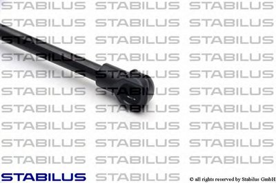 033599 STABILUS