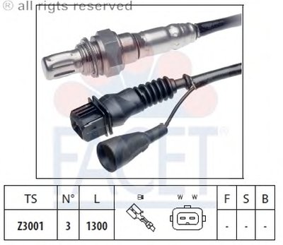 107051 FACET