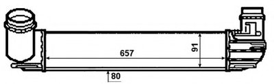 30481 NRF