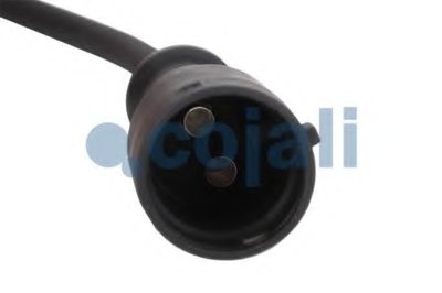 2260100 COJALI