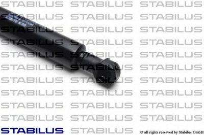 033599 STABILUS