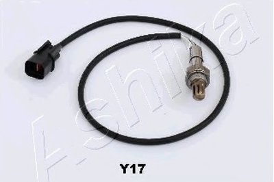 43Y17 ASHIKA