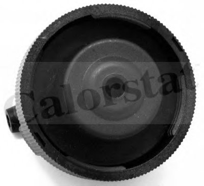 RC0085 CALORSTAT BY VERNET
