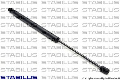 248594 STABILUS