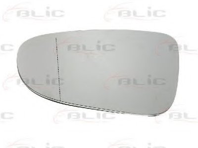 6102021232596P BLIC