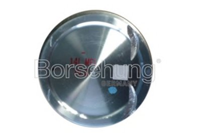 B13577 Borsehung
