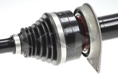 25281 SPIDAN