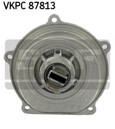 VKPC87813 SKF