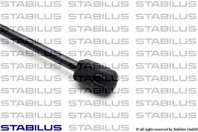 248594 STABILUS