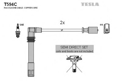 T594C TESLA