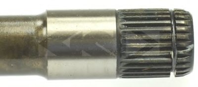 25535 SPIDAN