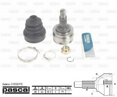 G18029PC PASCAL