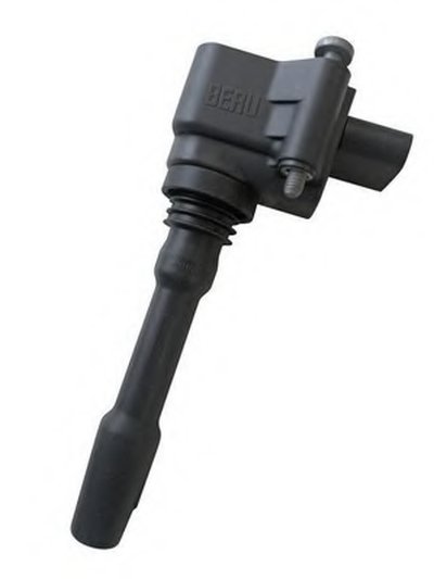 ZSE163 BERU