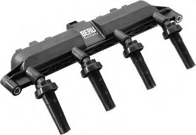 ZS381 BERU