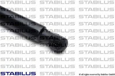 248594 STABILUS