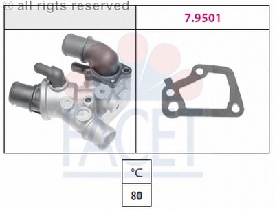 78097 FACET