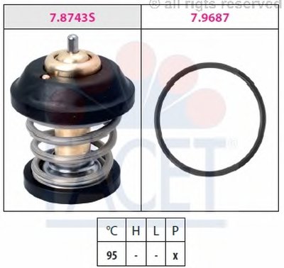 78799 FACET