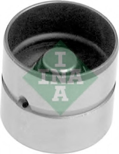 420010510 INA