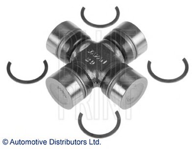 ADN13904 BLUE PRINT
